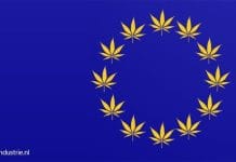 Commissie Europees Parlement stemt in met volledige legalisering van de hennepplant