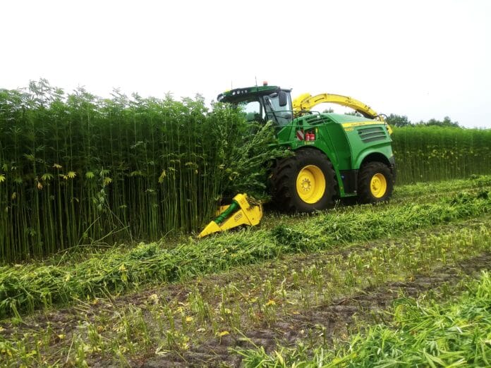 CANN Single Cut V1 hennep combine